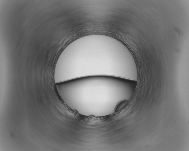 X0000113020384200908271039