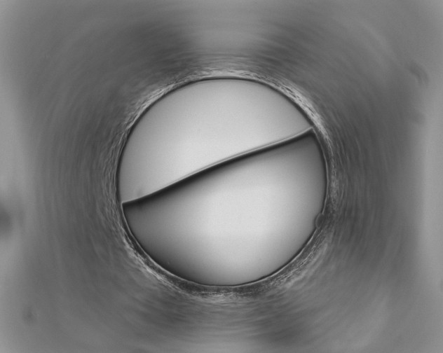 X0000113020385200908271038