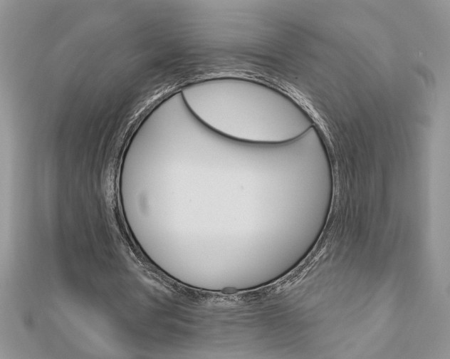 X0000113020386200908271038