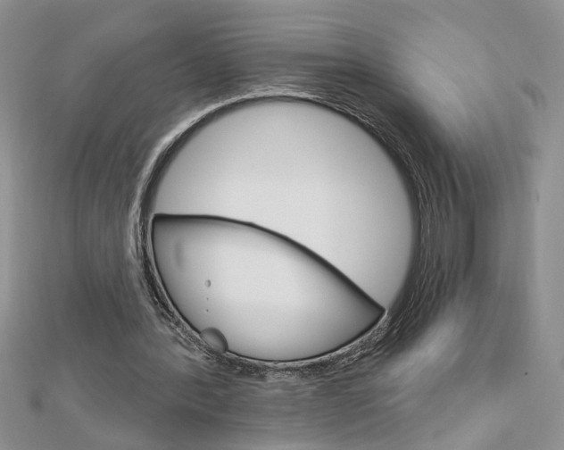 X0000113020388200908271038
