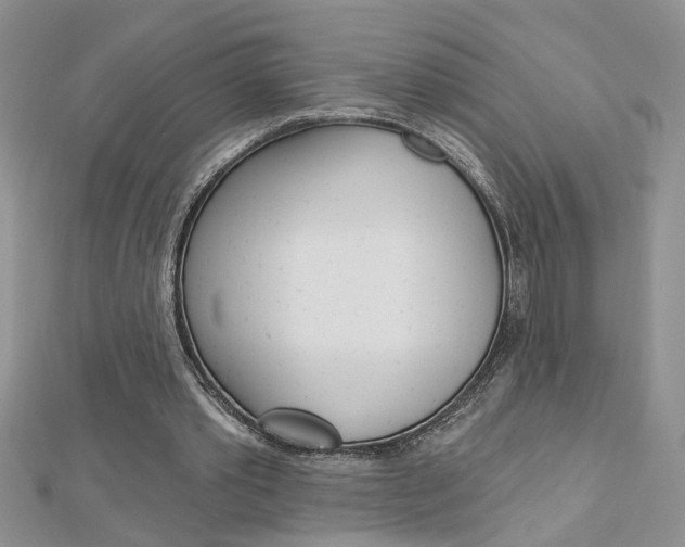 X0000113020389200908271038