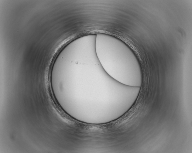 X0000113020390200908271038