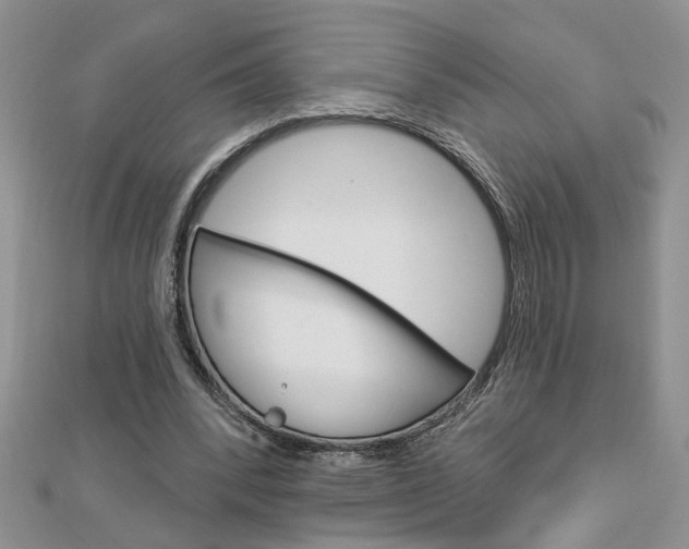 X0000113020392200908271038