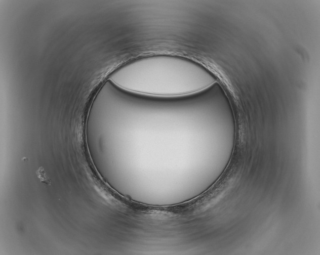 X0000113020393200908271038