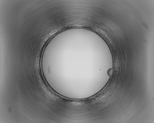 X0000113020394200908271038