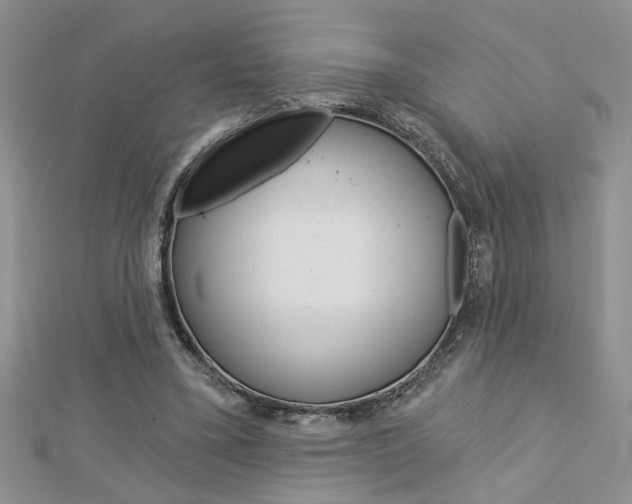 X0000113020395200908271038