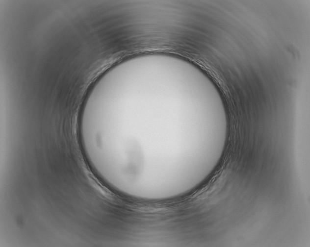 X0000113020397200908271038