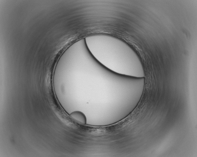 X0000113020398200908271038
