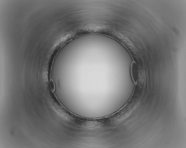 X0000113020399200908271038