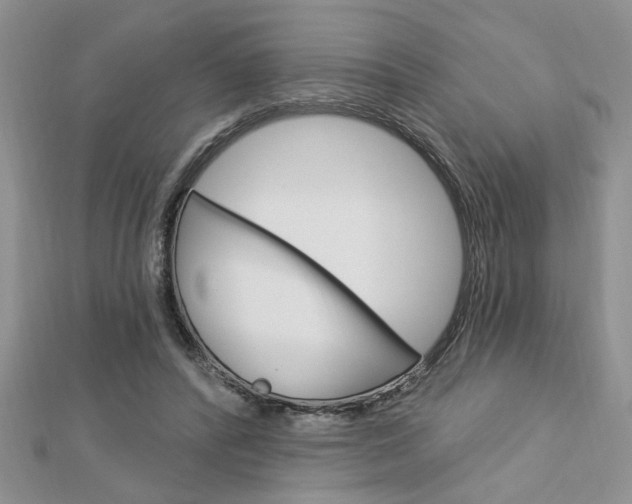 X0000113020400200908271038