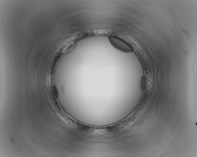 X0000113020401200908271038