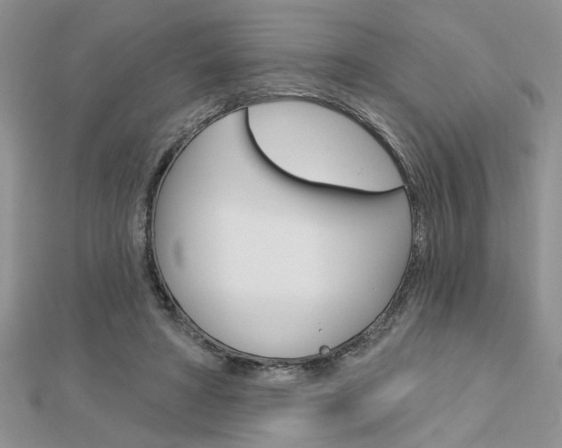 X0000113020402200908271038