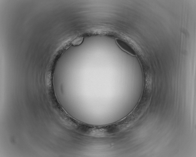 X0000113020403200908271038