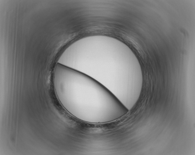 X0000113020404200908271038