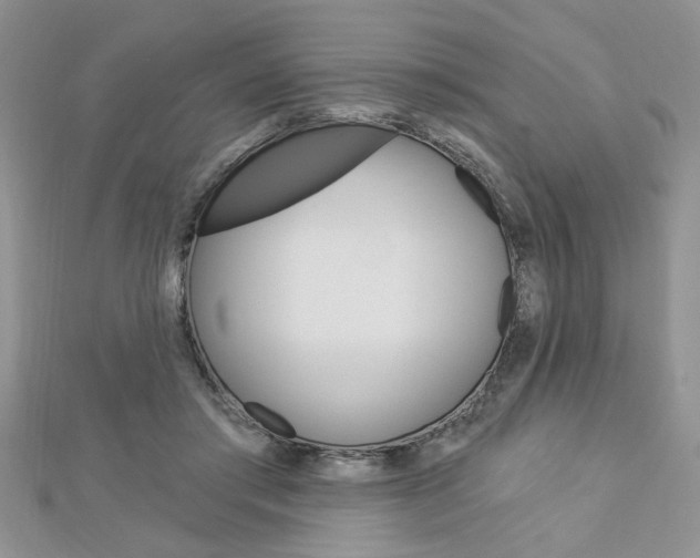 X0000113020405200908271038