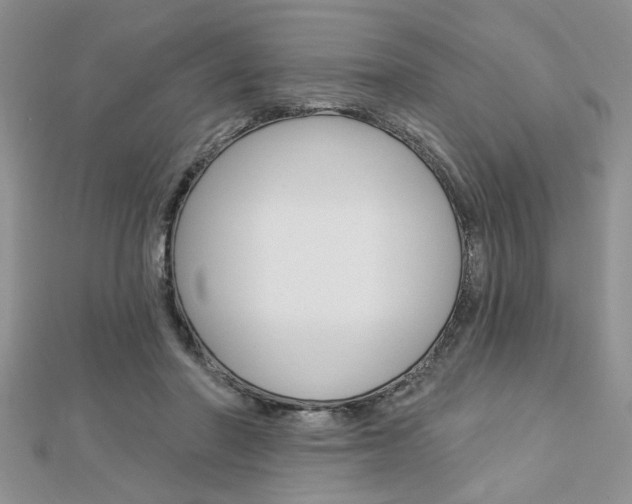 X0000113020406200908271038