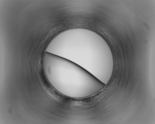 X0000113020408200908271038