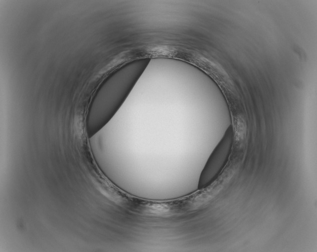 X0000113020409200908271038