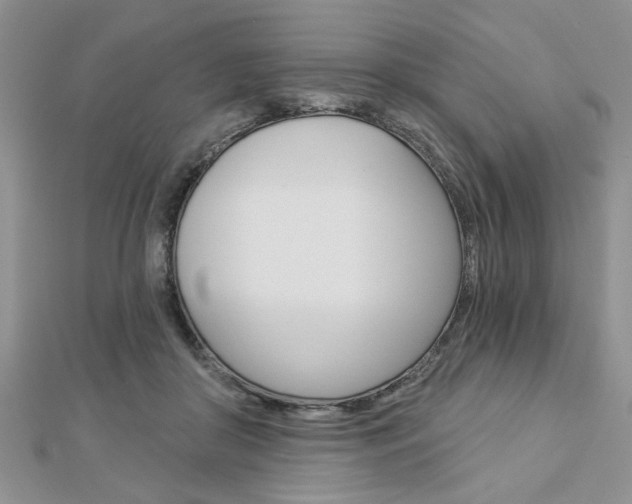 X0000113020410200908271038