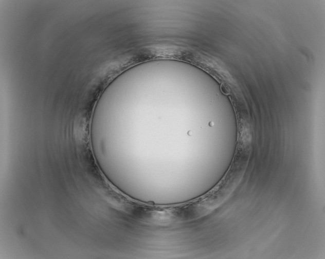 X0000113020411200908271038