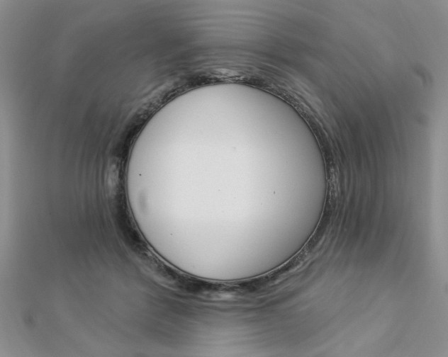 X0000113020412200908271038