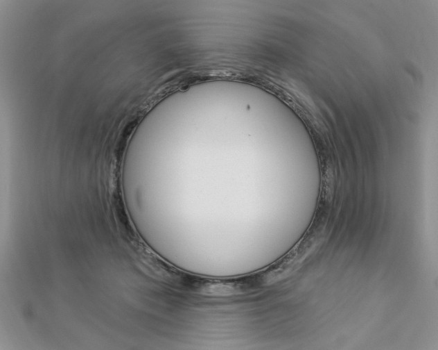 X0000113020413200908271038