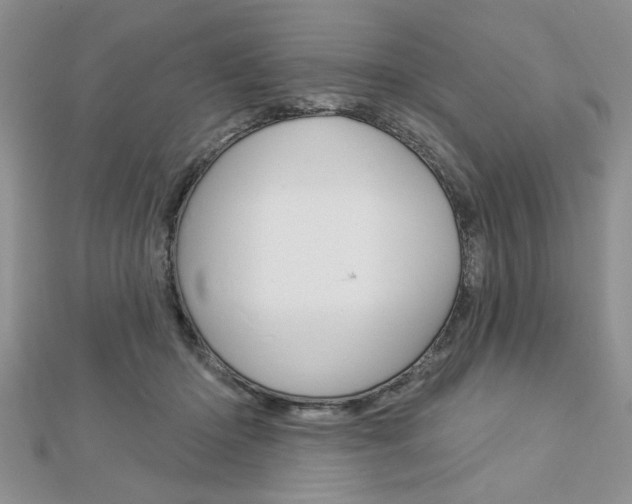 X0000113020414200908271038