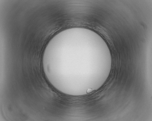 X0000113020415200908271038