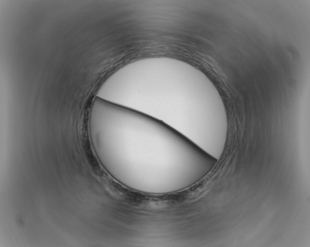 X0000113020416200908271038