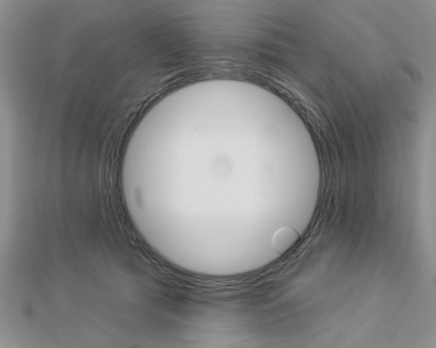 X0000113020417200908271038