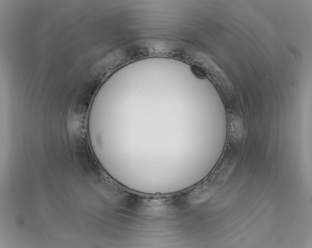 X0000113020419200908271038