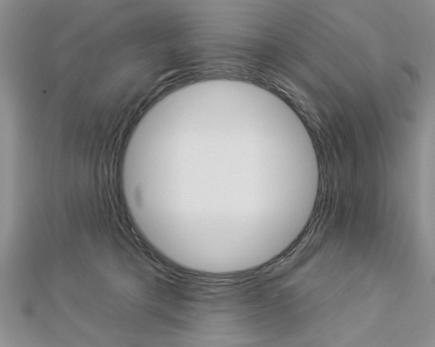 X0000113020421200908271038