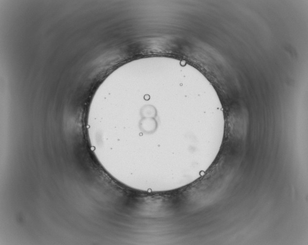 X0000113020423200908271038