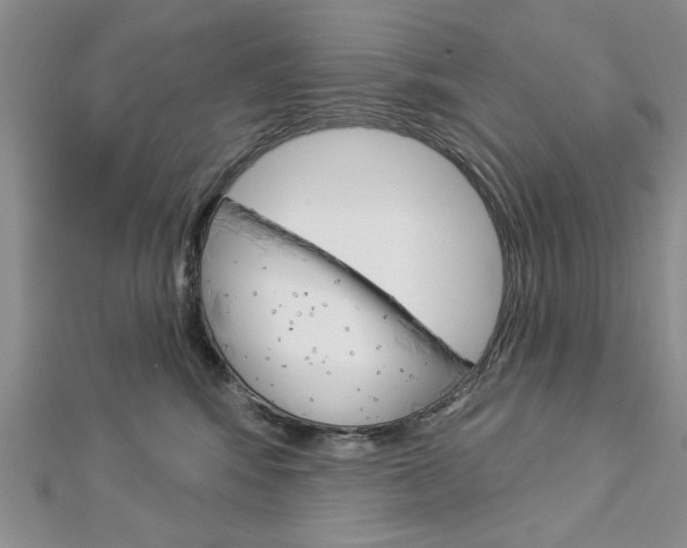 X0000113020424200908271038