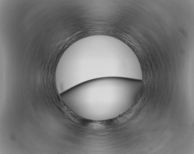 X0000113020425200908271038