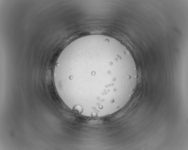 X0000113020426200908271038