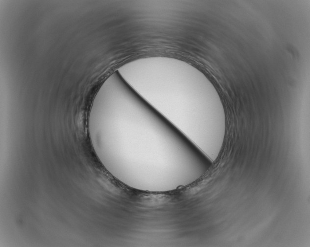 X0000113020428200908271038