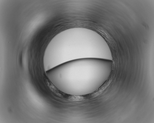 X0000113020429200908271038