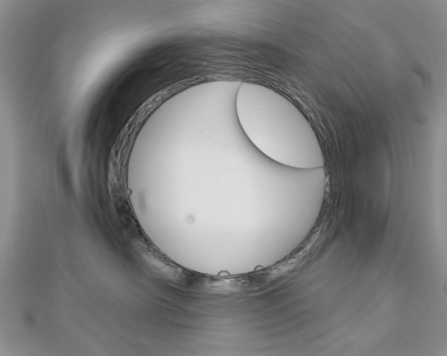 X0000113020430200908271038