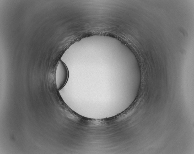 X0000113020432200908271038