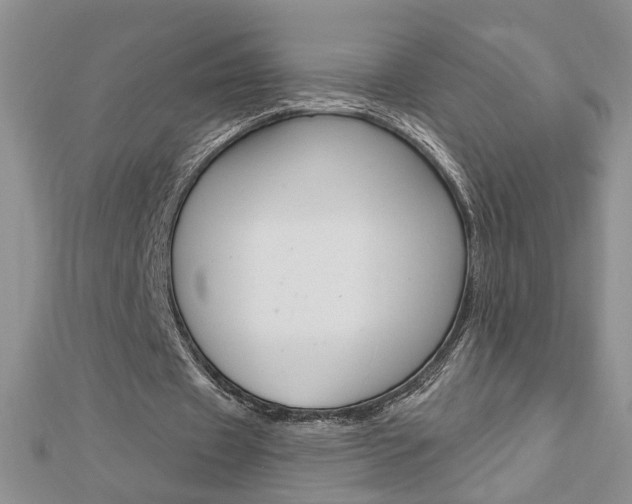 X0000113020433200908271037