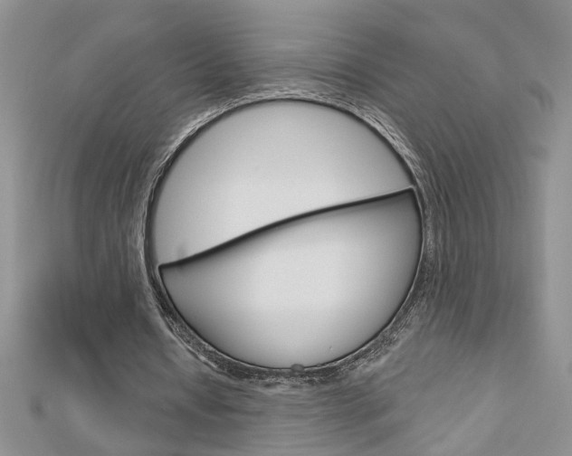 X0000113020434200908271037