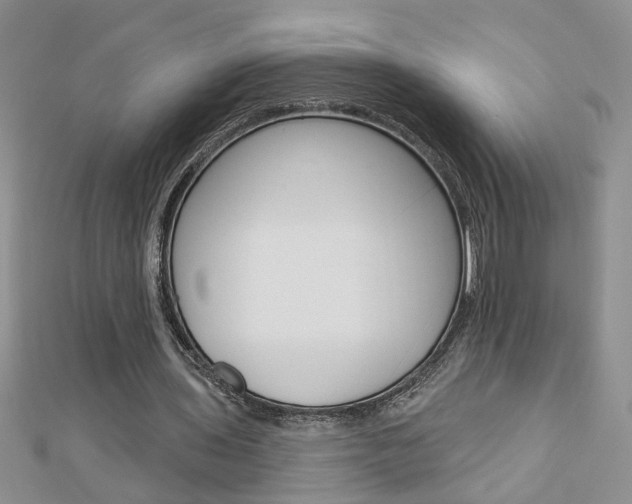 X0000113020435200908271037