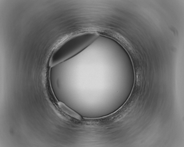 X0000113020436200908271037