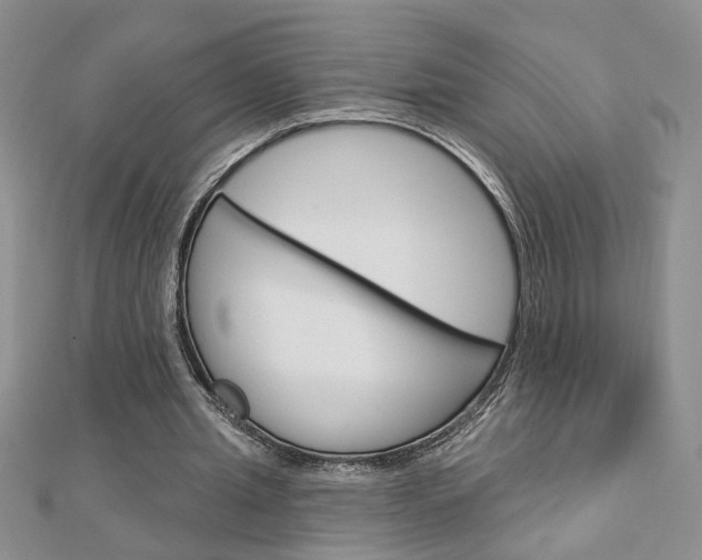 X0000113020437200908271037