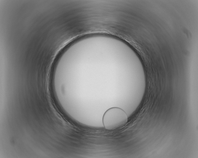 X0000113020440200908271037