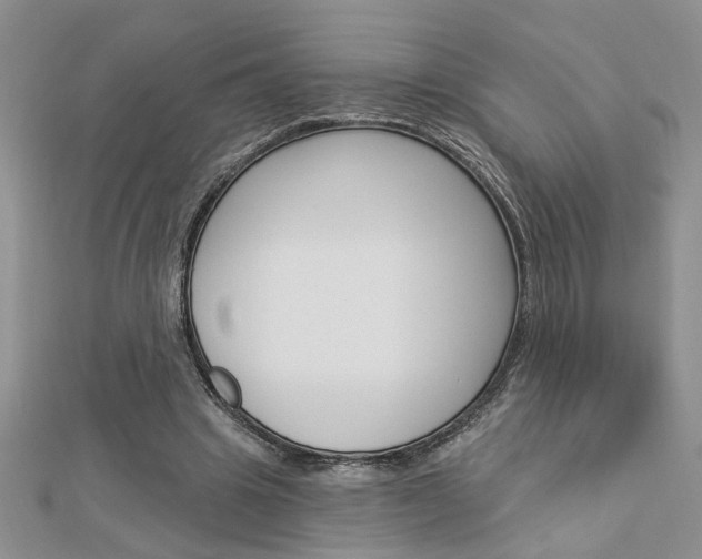 X0000113020441200908271037