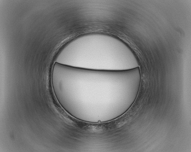 X0000113020442200908271037