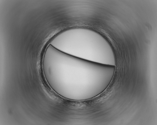 X0000113020443200908271037