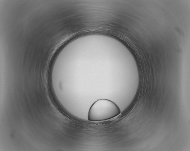 X0000113020444200908271037